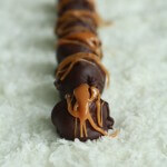Peanut Butter Coconut Candies