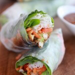 Avocado and Chicken Spring Rolls-6
