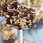 Peanut Butter Banana Frozen Yogurt Pops with Chocolate Drizzle-2