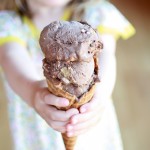 Toasted S'more Chocolate Fudge Ice Creaam-8
