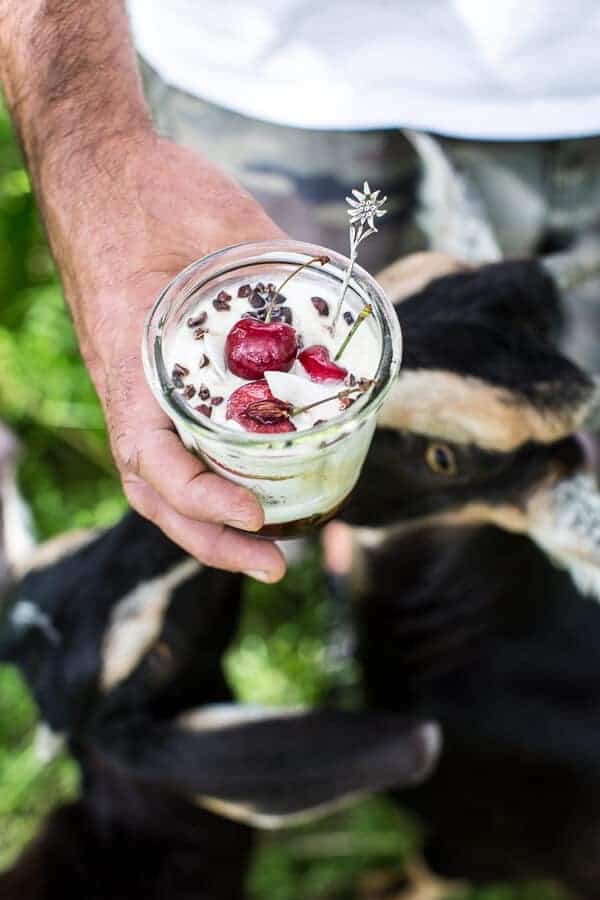 Cherry and Goat’s Milk Coconut Mousse | halfbakedharvest.com @hbharvest