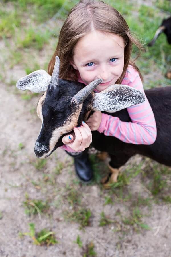 Everyone...It's Time to Meet the Goats (PHOTOS!)! | halfbakedharvest.com @hbharvest
