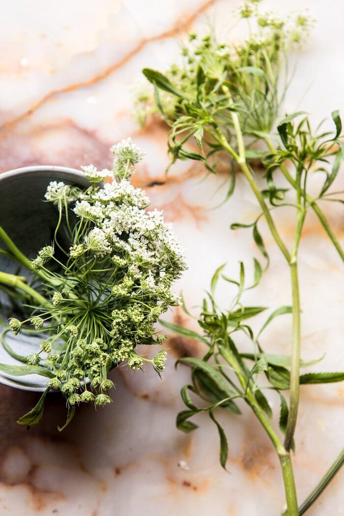 photo of fresh herbs