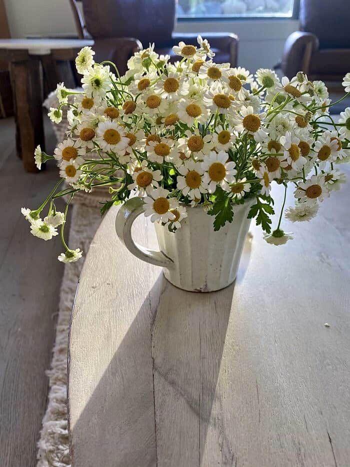 flowers in mug