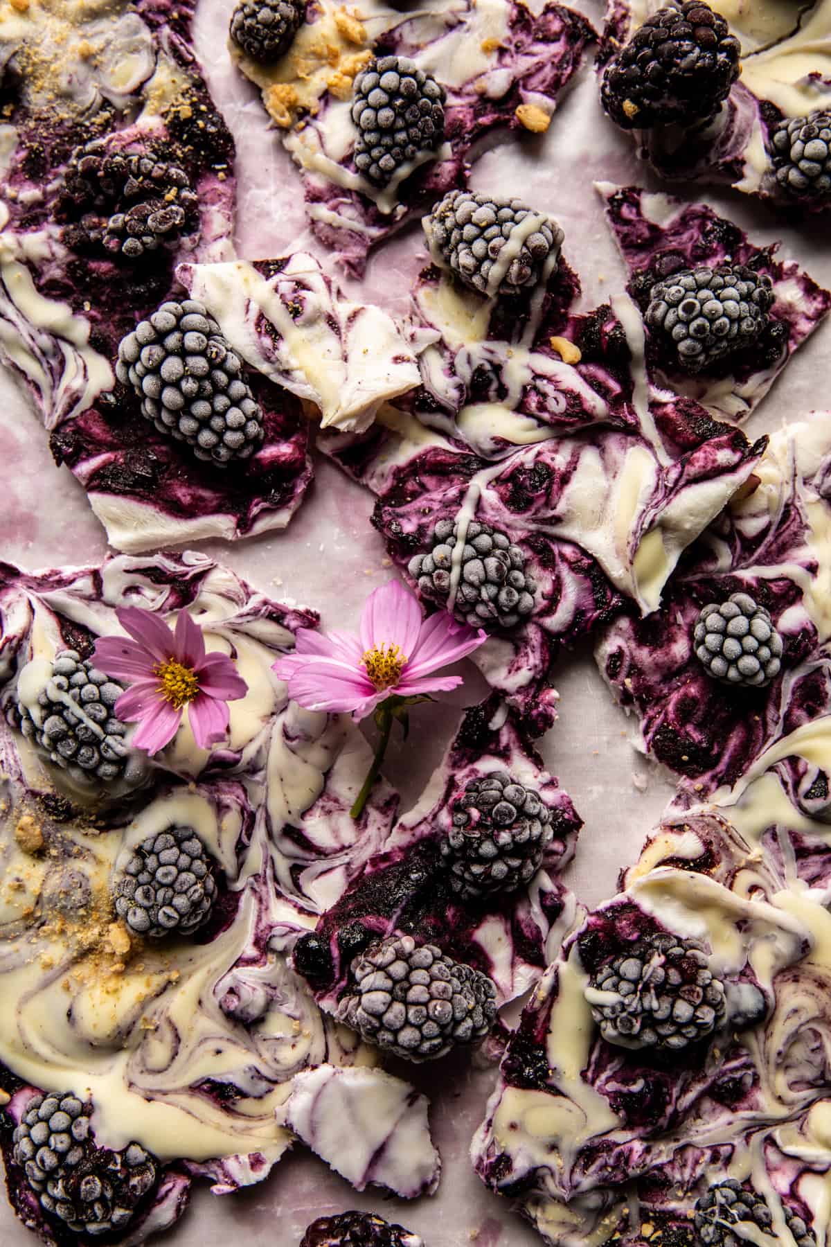 6 Ingredient Frozen Blackberry Yogurt Bark | halfbakedharvest.com