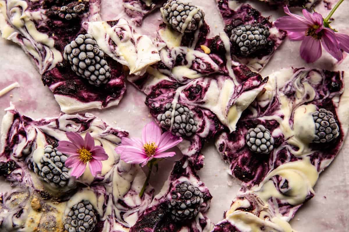 6 Ingredient Frozen Blackberry Yogurt Bark | halfbakedharvest.com