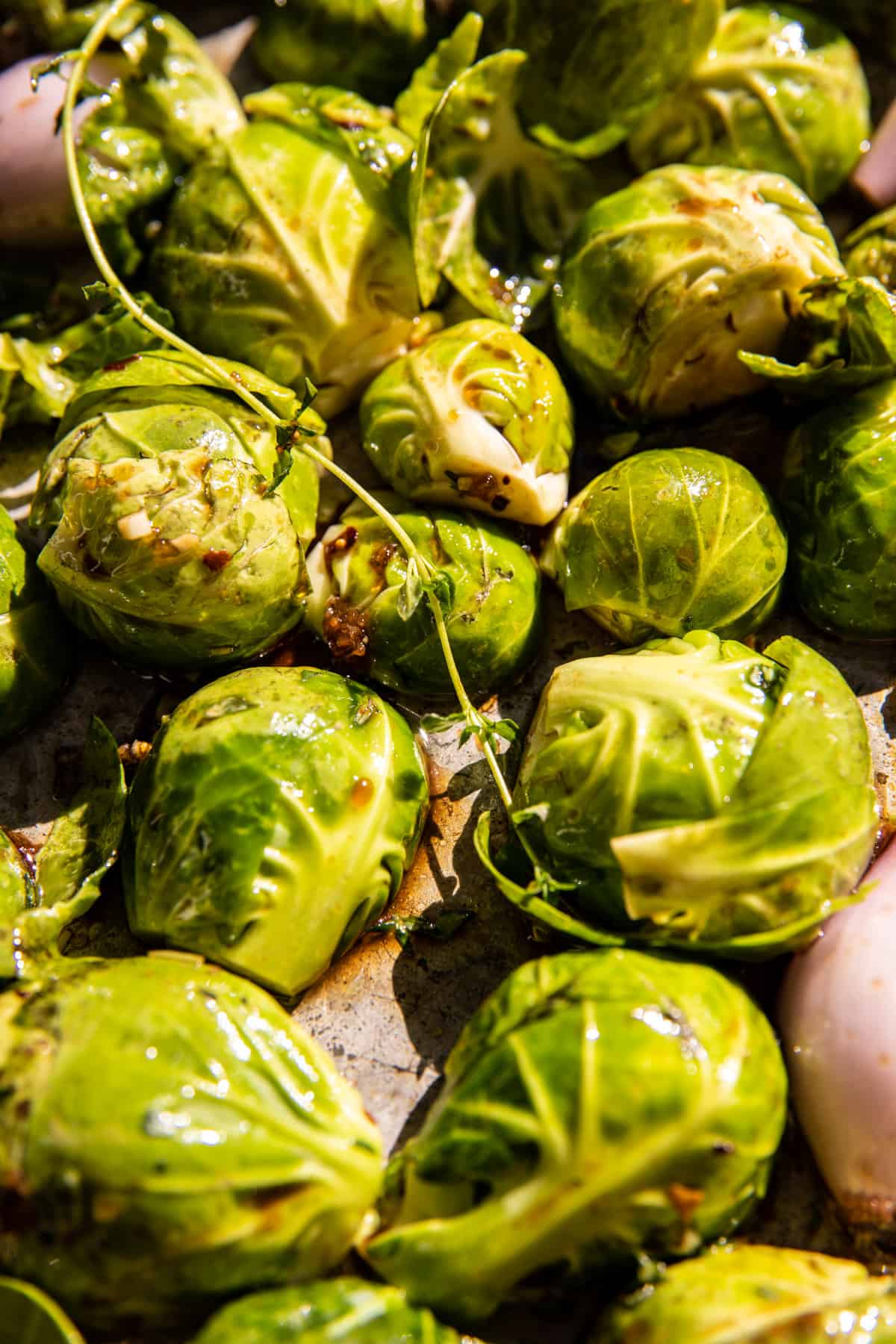 Roasted Balsamic Parmesan Brussels Sprouts | halfbakedharvest.com