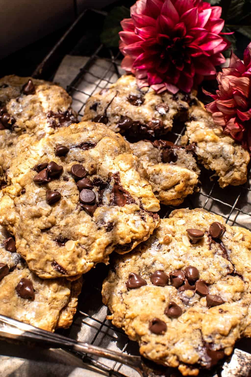Giant Magic Oatmeal Chocolate Chip Cookies. Half Baked Harvest