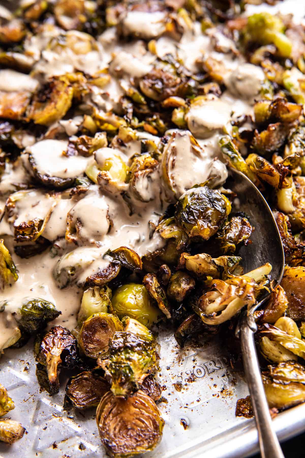 Roasted Brussels Sprout Salad with Tahini Dressing | halfbakedharvest.com