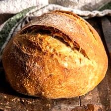The Best (easiest) No Knead Bread | halfbakedharvest.com