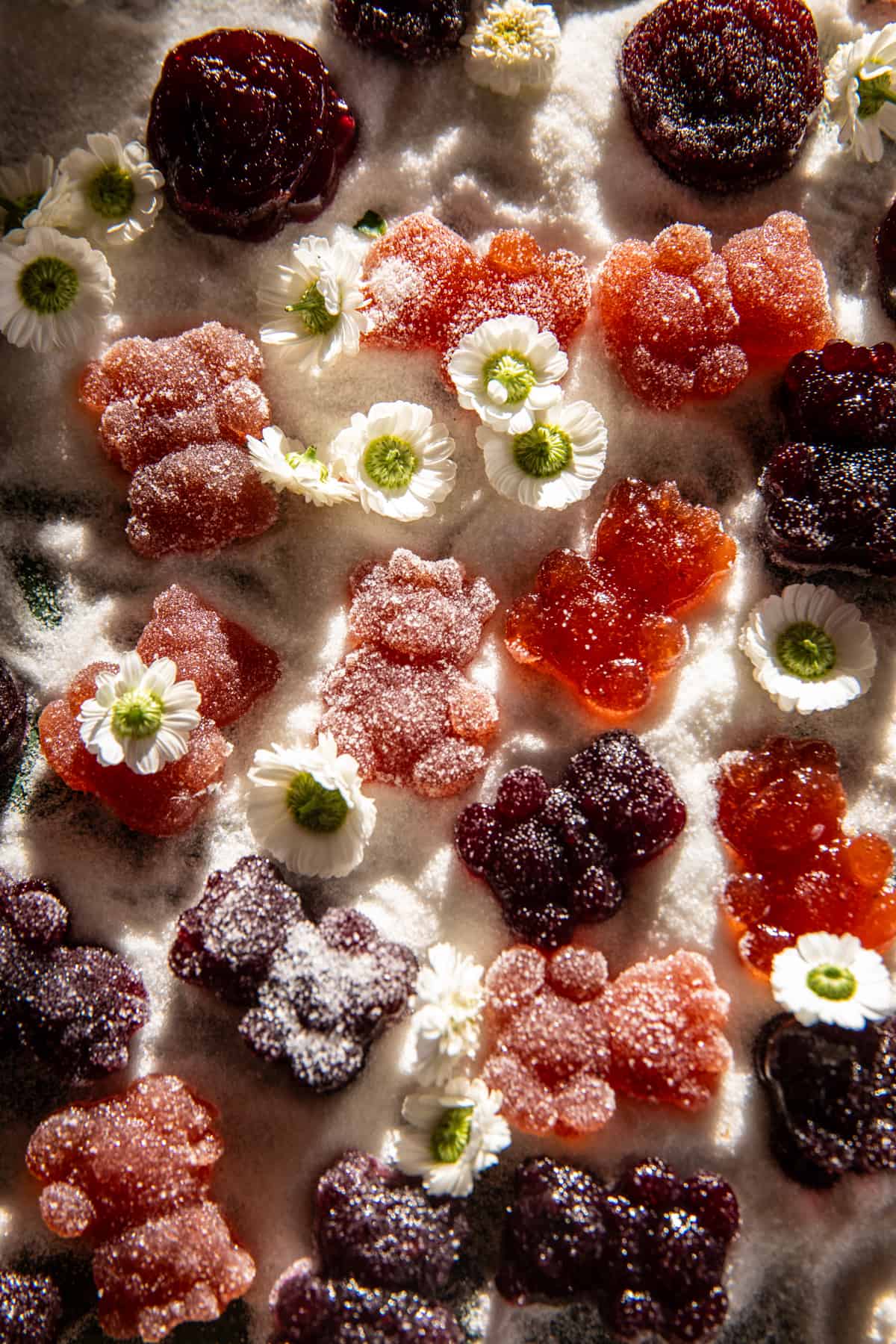 Homemade 5-Ingredient Sour Fruit Gummies | halfbakedharvest.com