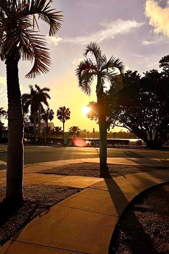 Nine Favorite Things | halfbakedharvest.com