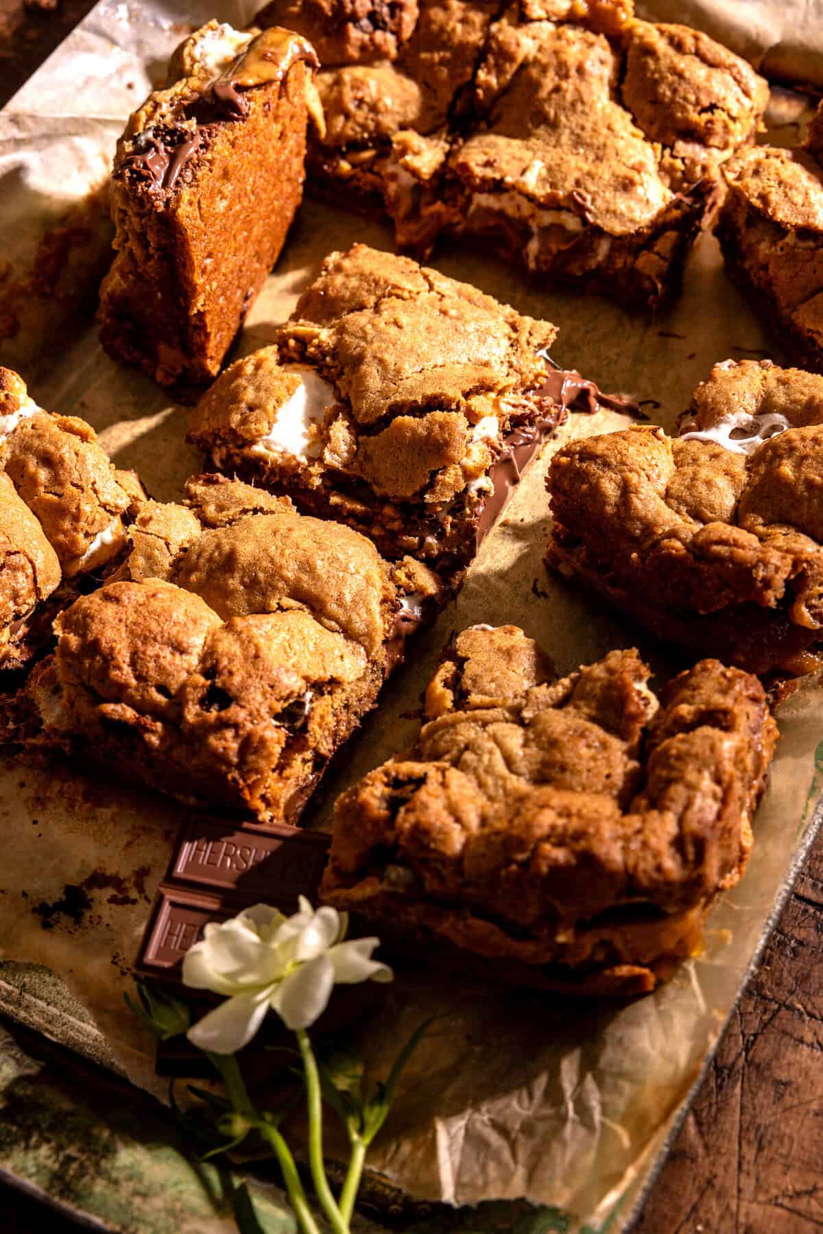 Toasted S'mores Bars | halfbakedharvest.com